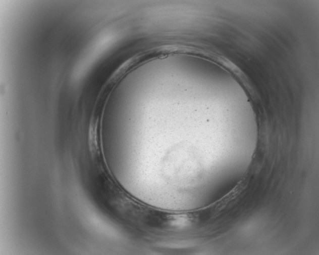 X0000063461199200602031826