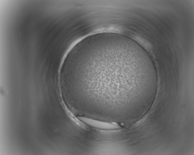 X0000063461200200602031826