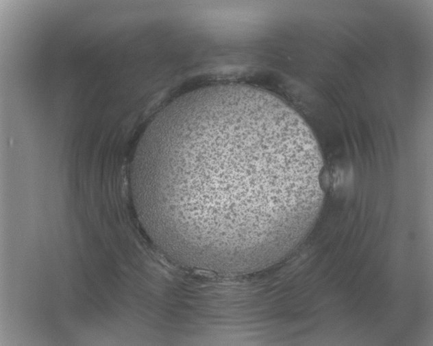 X0000063461204200602031825