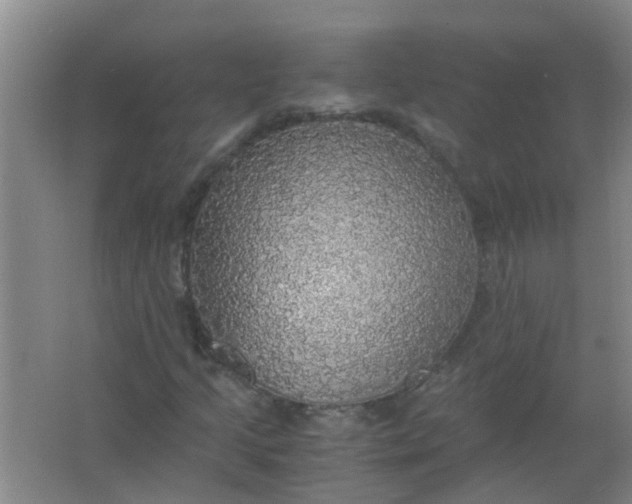 X0000063461205200602031825