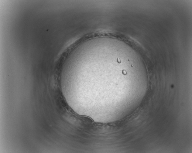 X0000063461207200602031825