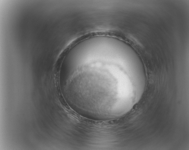 X0000063461208200602031825