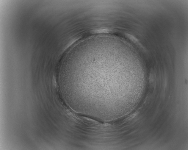 X0000063461209200602031825