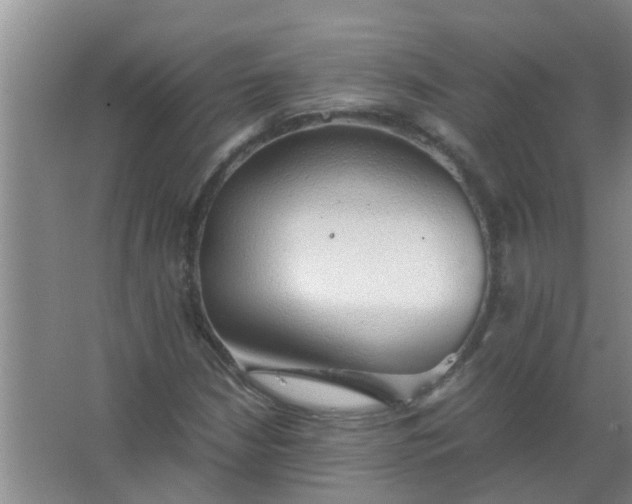 X0000063461210200602031825