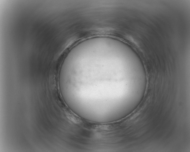 X0000063461211200602031825