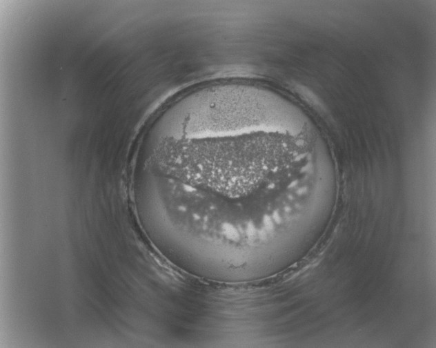 X0000063461212200602031825