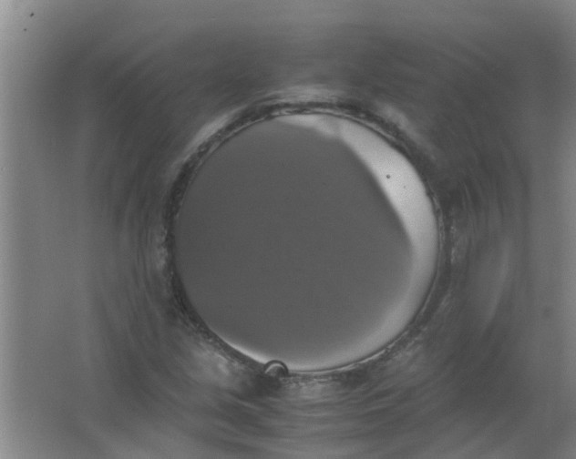 X0000063461213200602031825