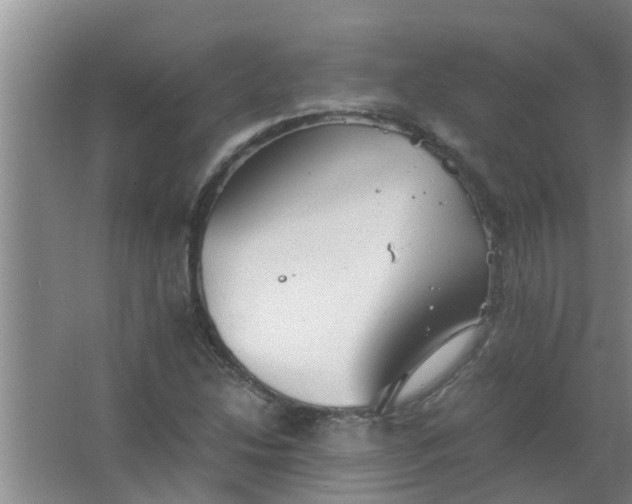 X0000063461214200602031825