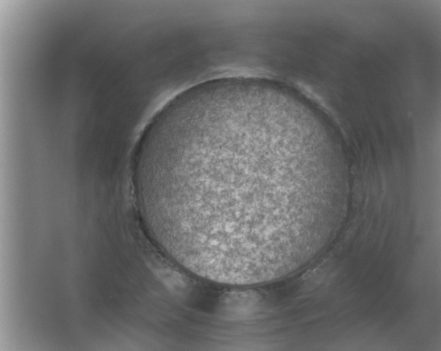 X0000063461215200602031825