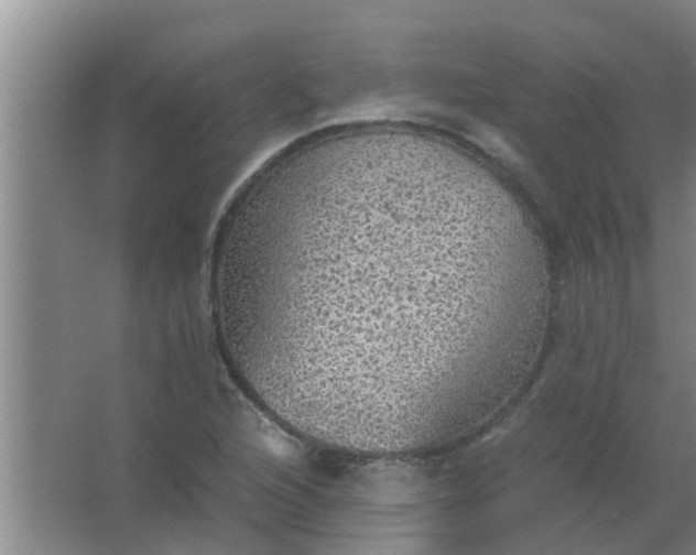 X0000063461216200602031825