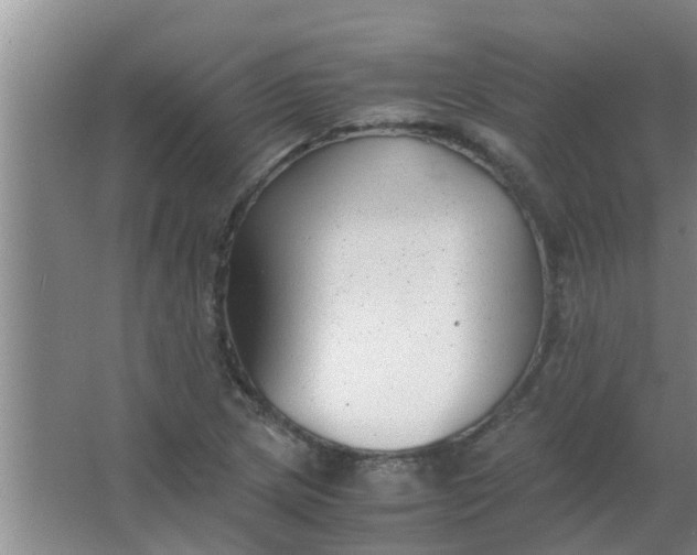 X0000063461217200602031825