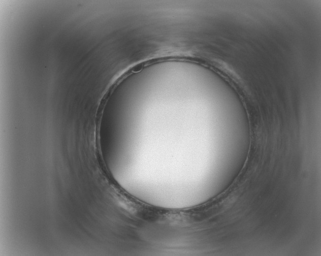 X0000063461220200602031825