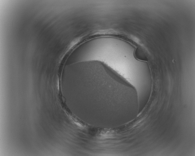 X0000063461221200602031825