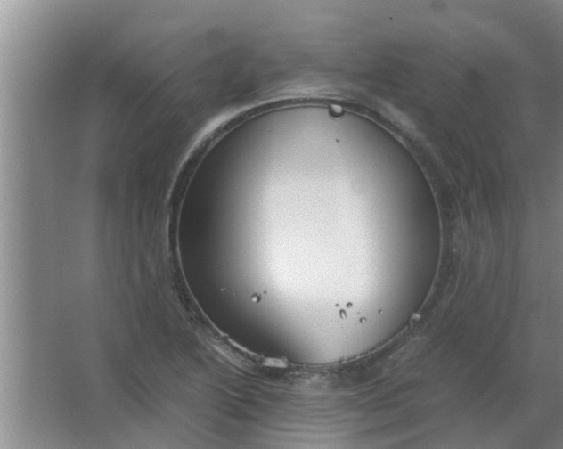 X0000063461222200602031825