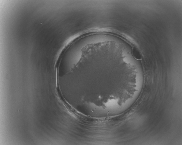 X0000063461223200602031825