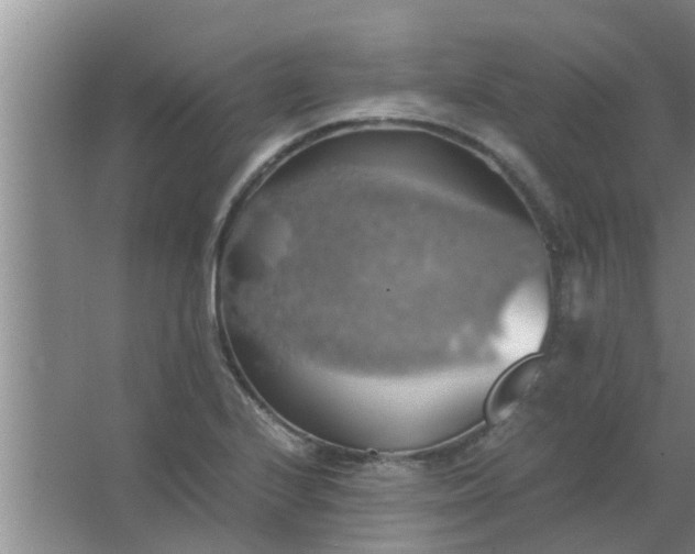 X0000063461224200602031825