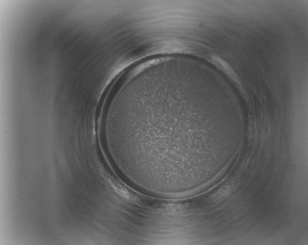 X0000063461226200602031825