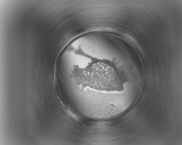 X0000063461228200602031825