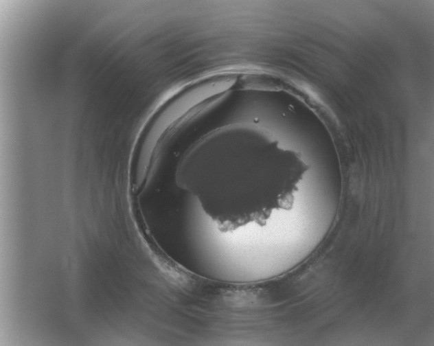 X0000063461229200602031825