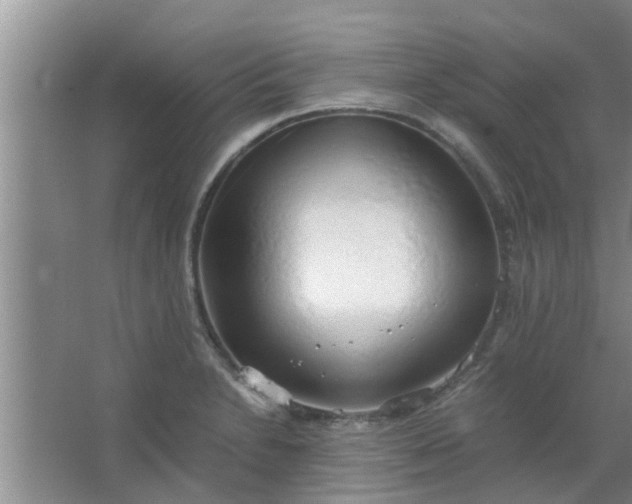 X0000063461230200602031825