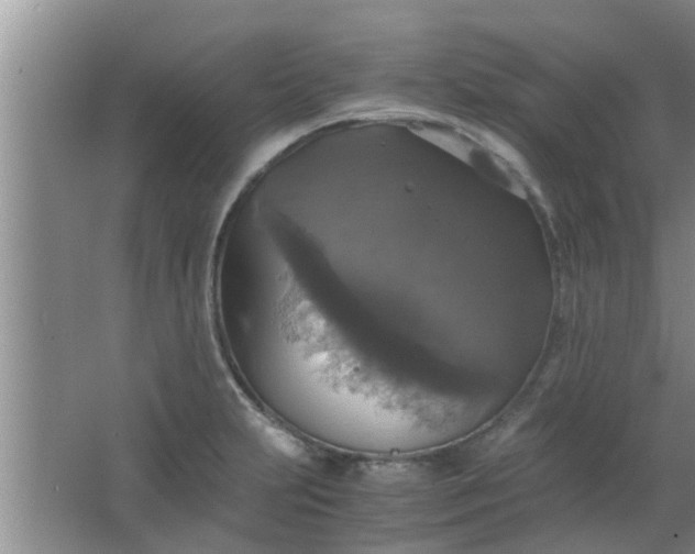 X0000063461231200602031825