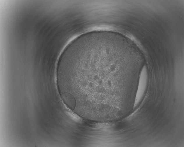 X0000063461232200602031825