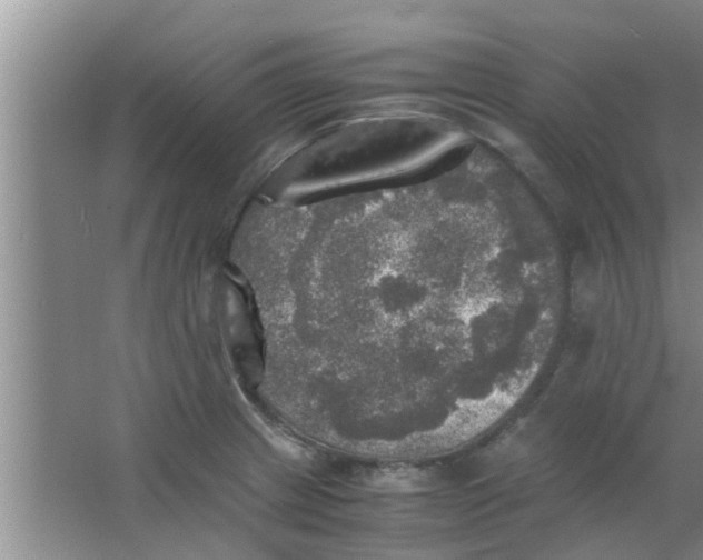 X0000063461233200602031825