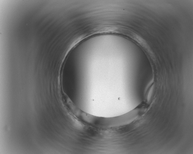 X0000063461234200602031825