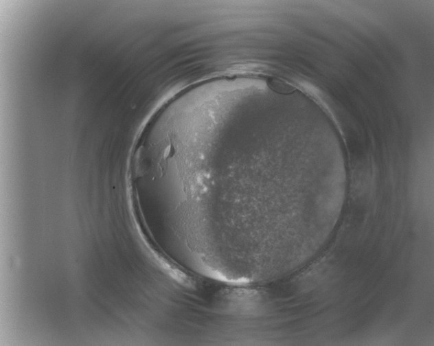 X0000063461235200602031825