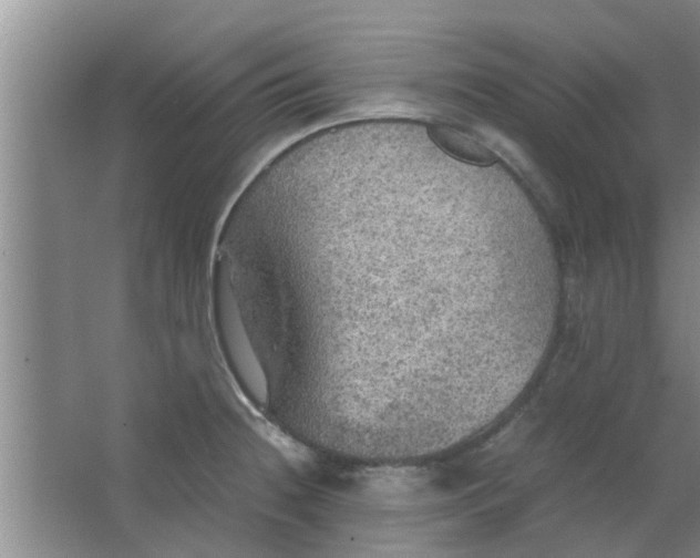 X0000063461236200602031825