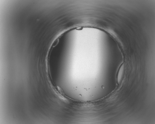 X0000063461238200602031825