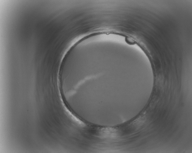 X0000063461239200602031825