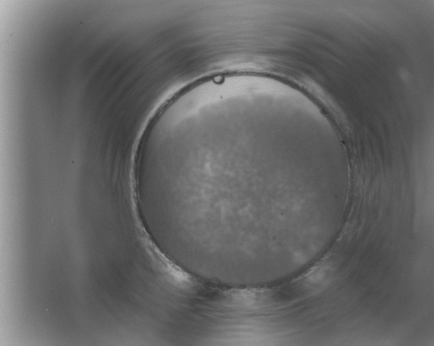 X0000063461240200602031825