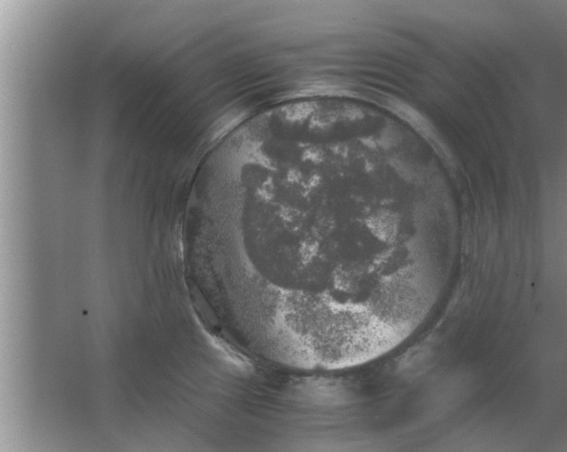 X0000063461241200602031825