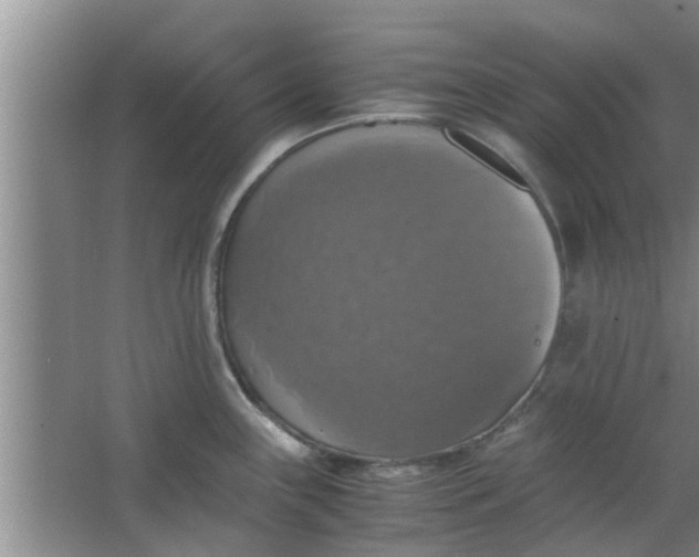 X0000063461243200602031825