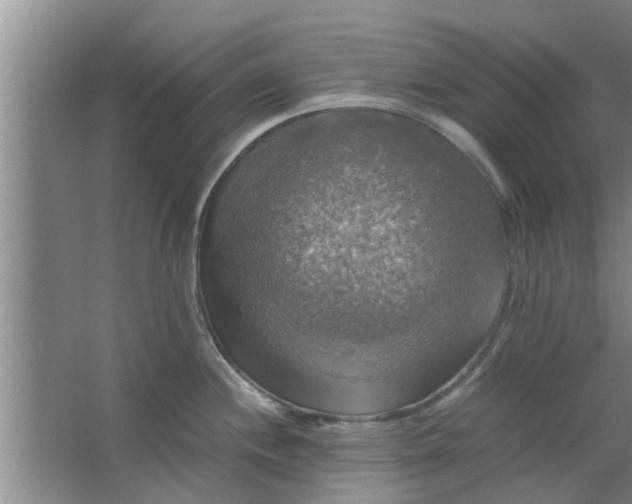 X0000063461244200602031825