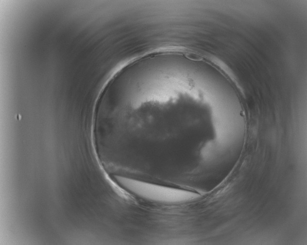 X0000063461245200602031825