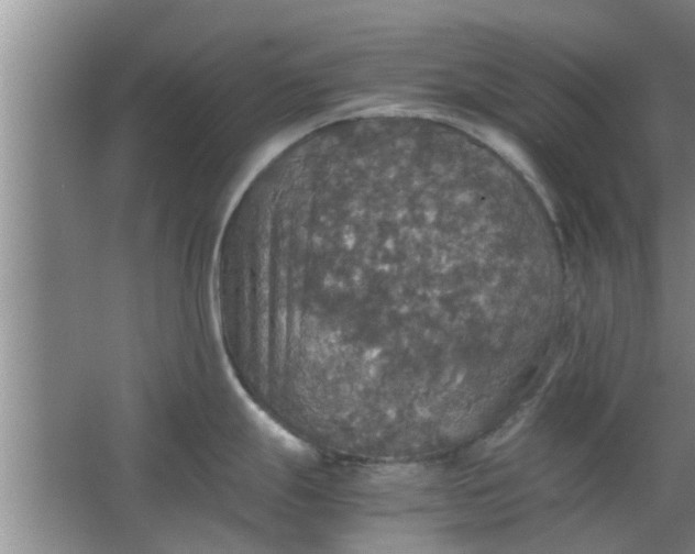 X0000063461247200602031825