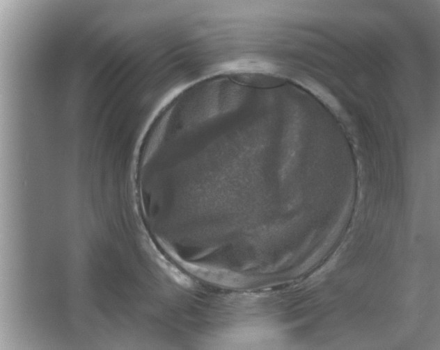 X0000063461248200602031825