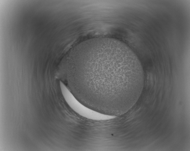 X0000063461250200602031825