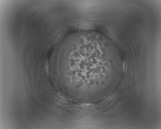 X0000063461251200602031825