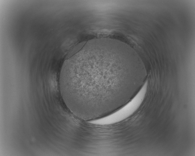 X0000063461252200602031825