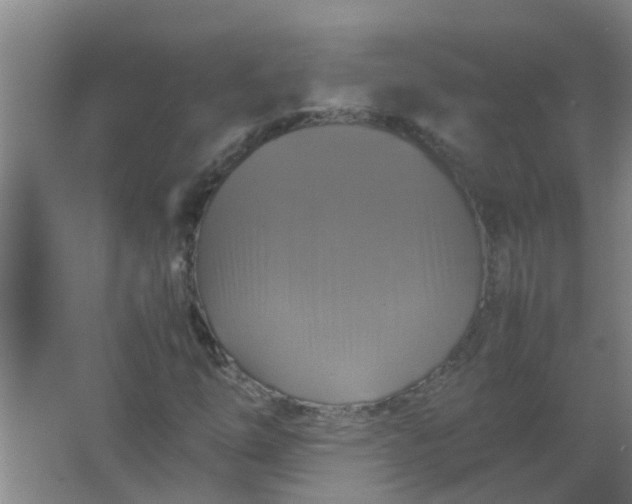 X0000063461254200602031825