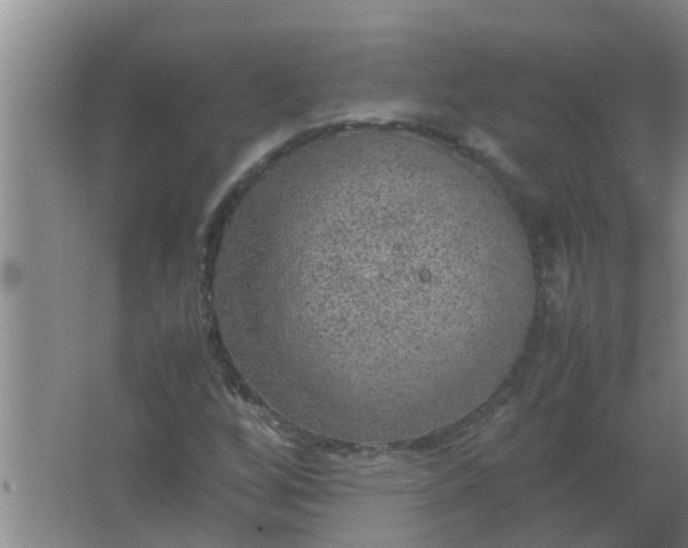 X0000063461256200602031825