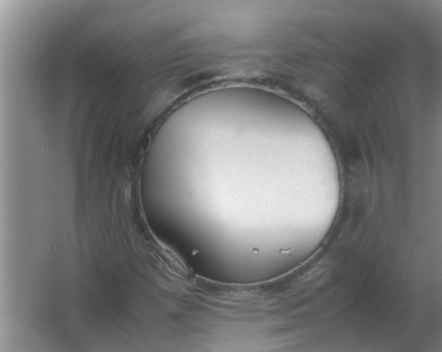 X0000063461257200602031825