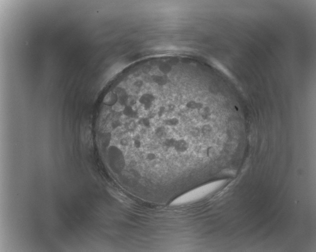 X0000063461259200602031825