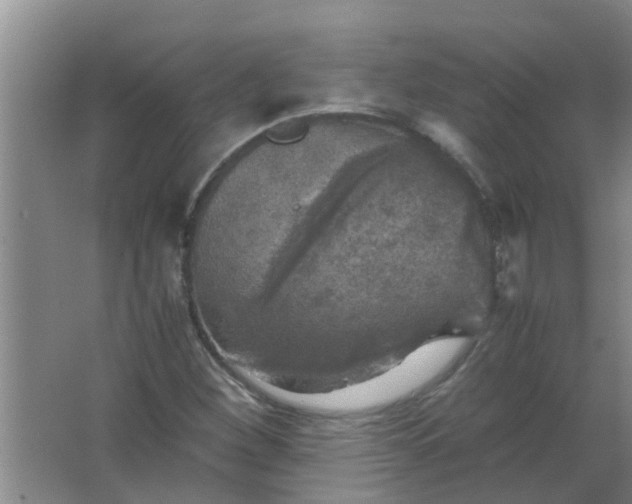 X0000063461260200602031824