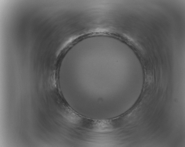 X0000063461262200602031824