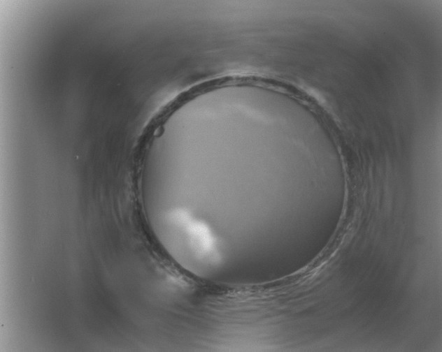 X0000063461263200602031824