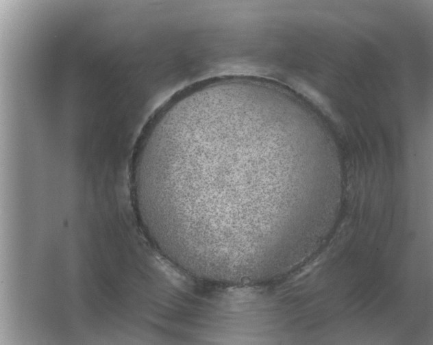 X0000063461264200602031824